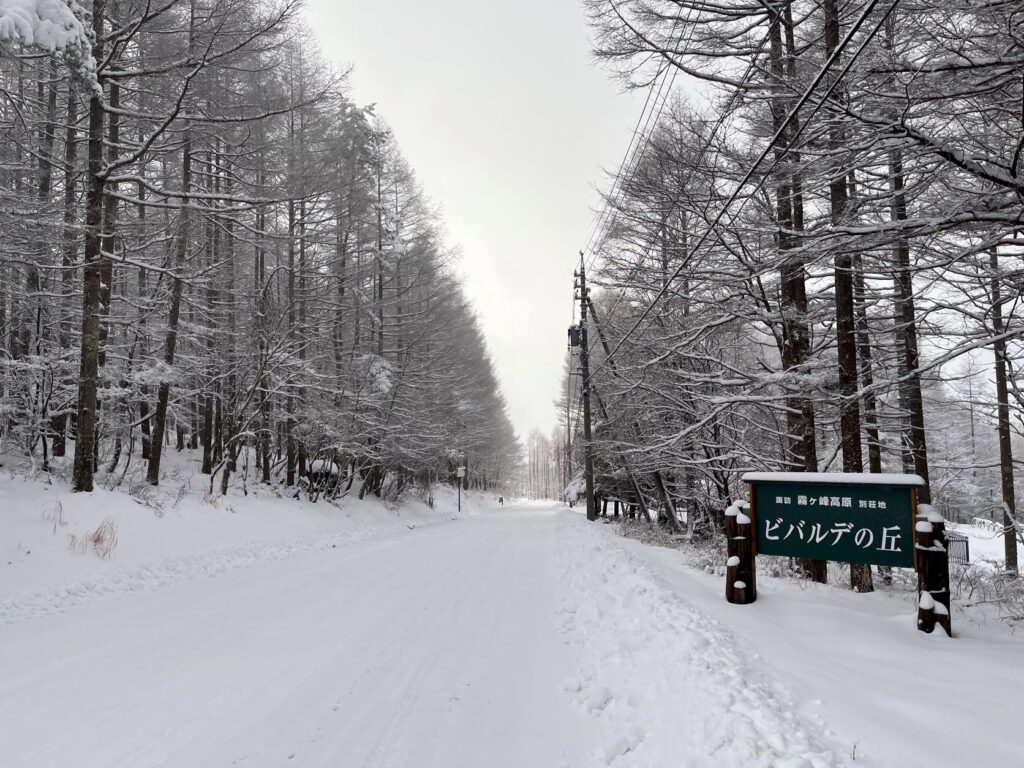 別荘地の雪景色