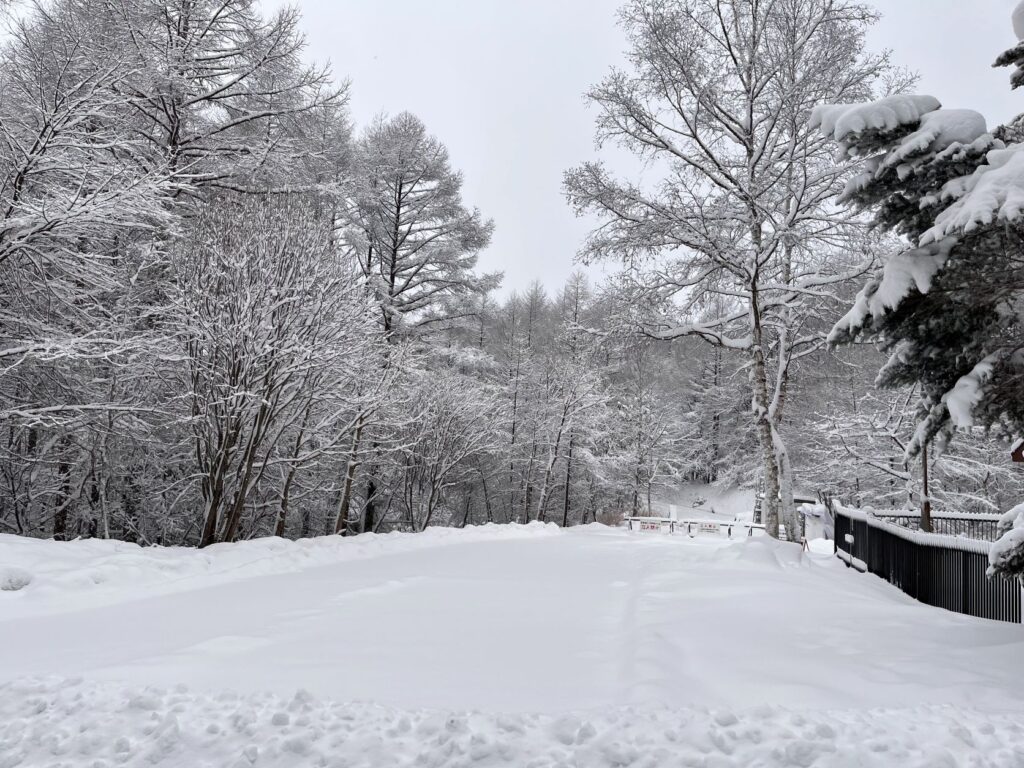 別荘地の雪景色