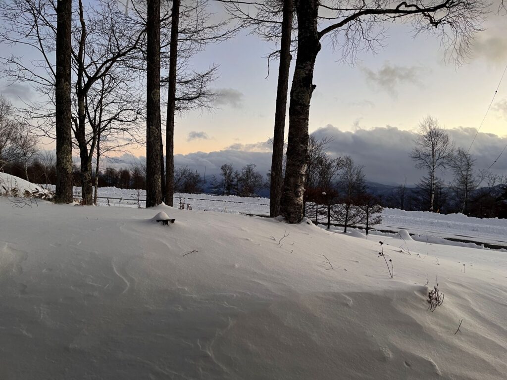 別荘地の雪景色