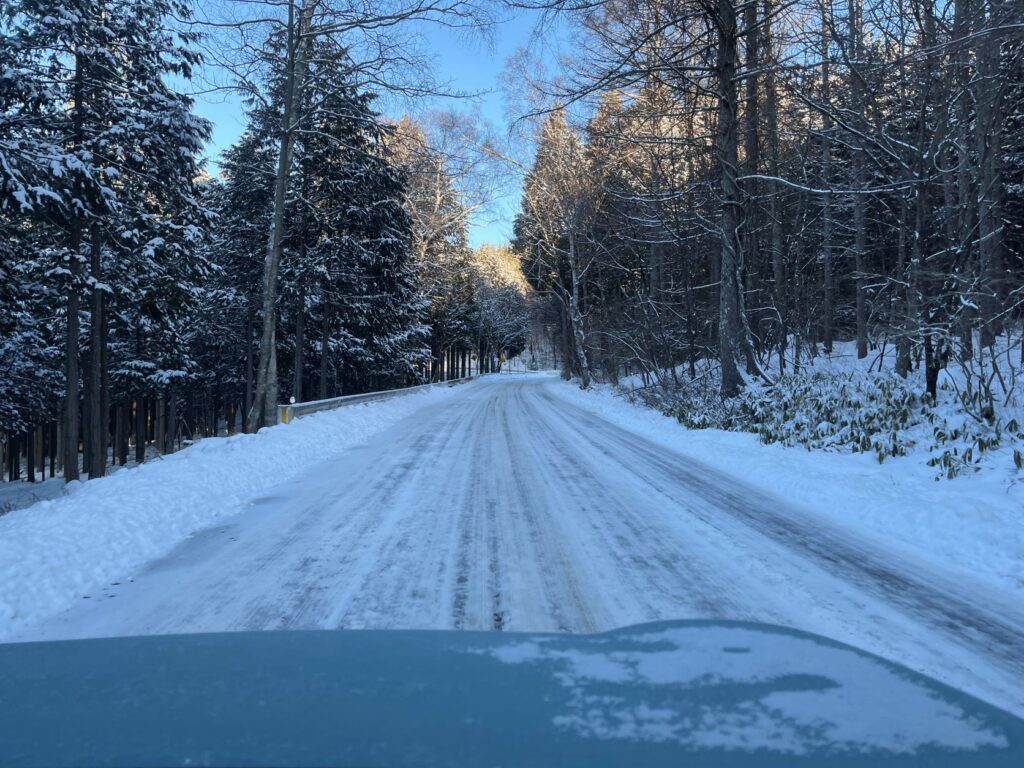 霧ヶ峰　冬　道路