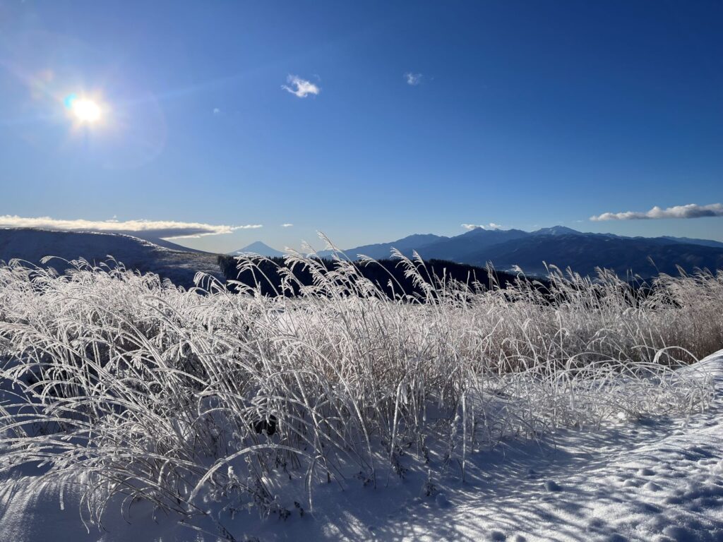 雪の霧ヶ峰