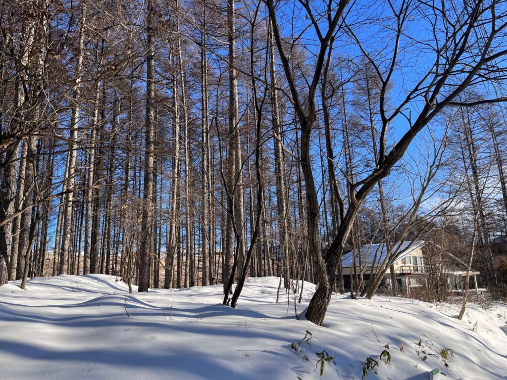 別荘の大晦日