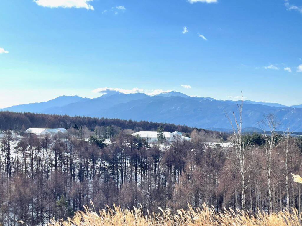 諏訪市
霧ヶ峰
ビバルデの丘
別荘
別荘地
眺望
富士山
南アルプス
新春
仕事始め
うさぎ
卯
癸卯
プレゼント
スタッフ
スタッフブログ