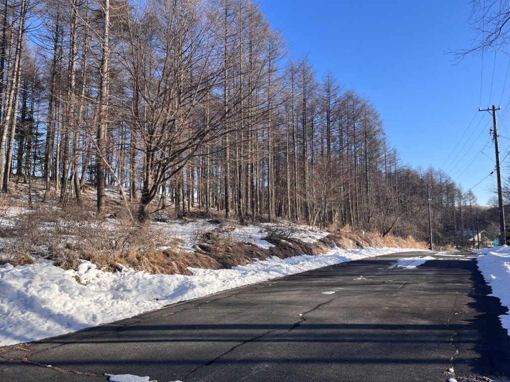 霧ヶ峰　別荘
雪
１月の別荘
富士山が見える別荘