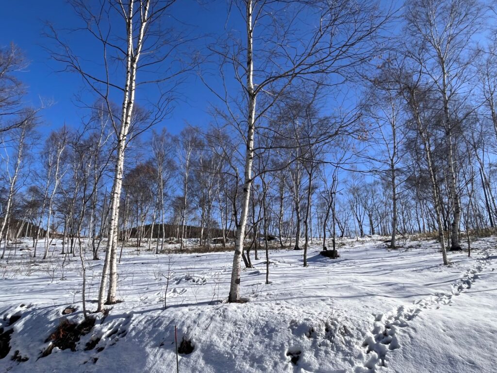 霧ヶ峰　別荘
雪
１月の別荘
富士山が見える別荘