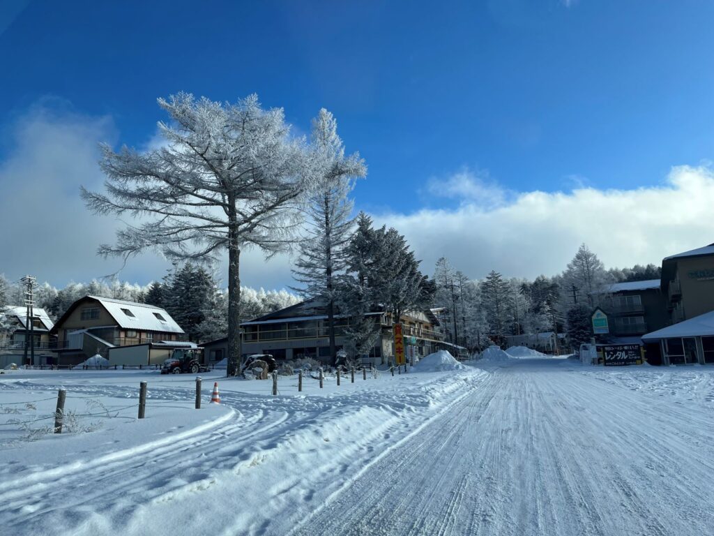 霧ヶ峰の冬