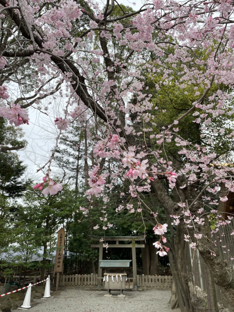 諏訪市
霧ヶ峰
ビバルデの丘
別荘
別荘地
スタッフ
スタッフブロブ
卒業
卒業旅行
桜
夜景