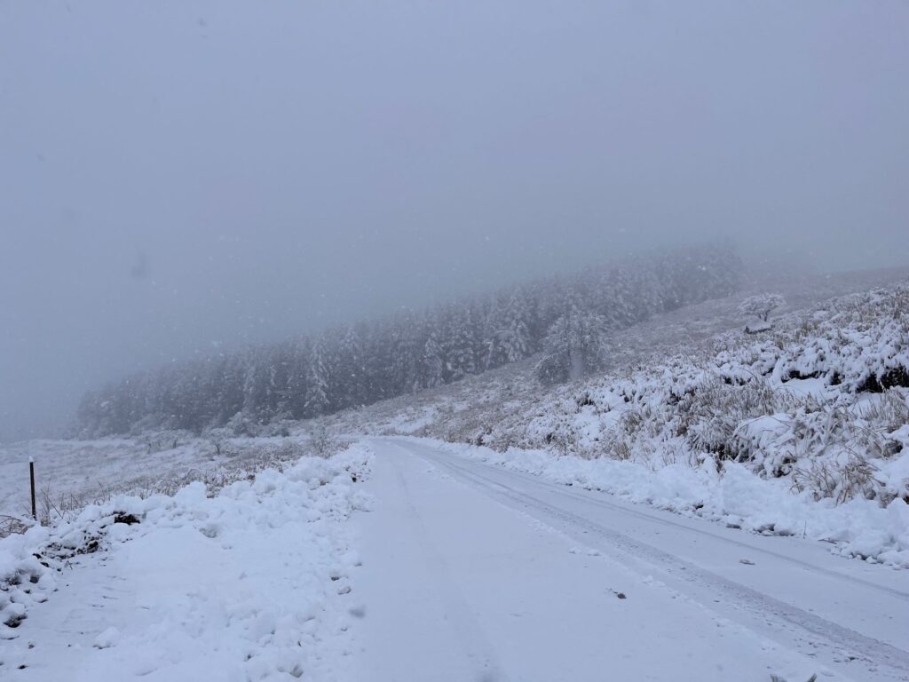 霧ヶ峰　除雪