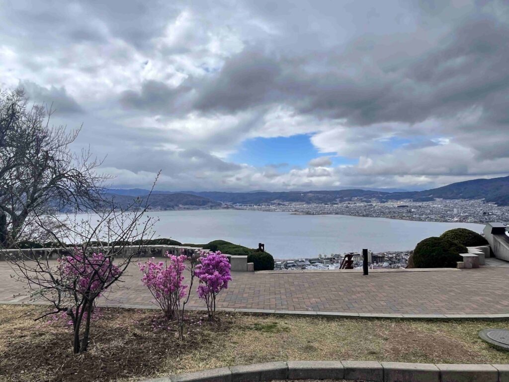 立石公園　桜　春　諏訪市　観光