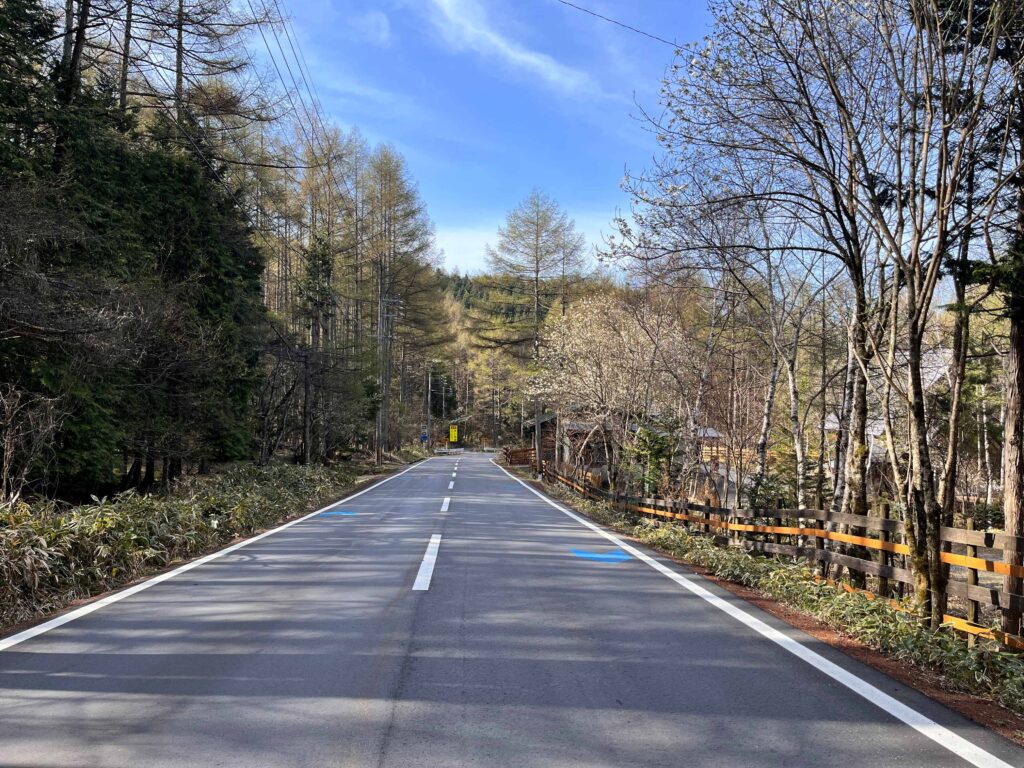 霧ヶ峰の春
山桜