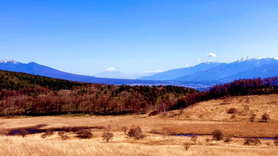 踊り場湿原　池のくるみ　霧ヶ峰　富士山　新入社員