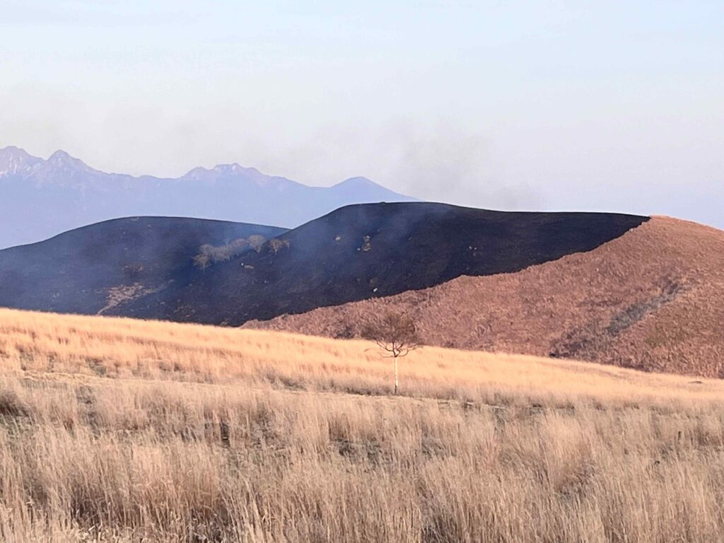 霧ヶ峰火災
ガボッチョ山
霧ヶ峰　火事
車山火災
山火事