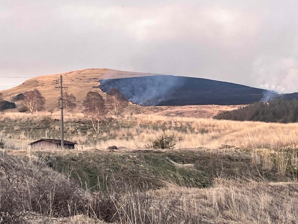 霧ヶ峰火災
ガボッチョ山
霧ヶ峰　火事
車山火災
山火事