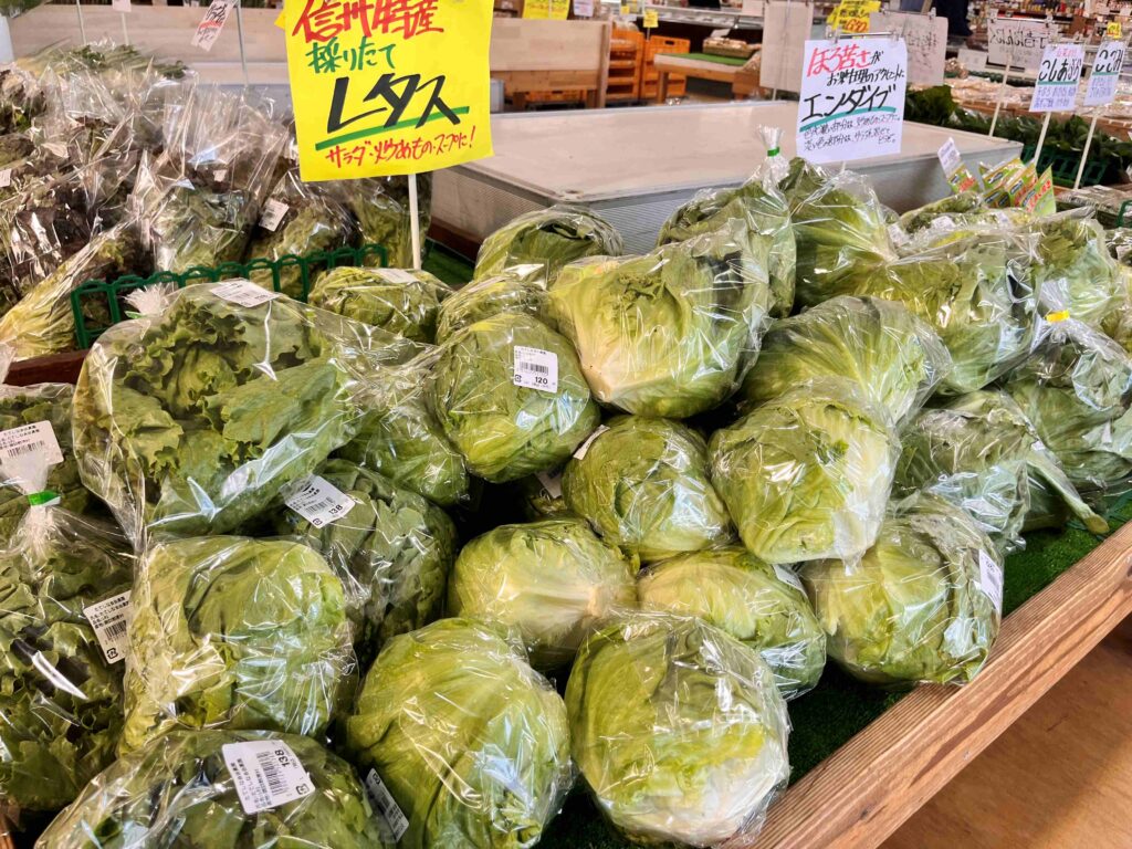 たてしな自由農園　春の野菜