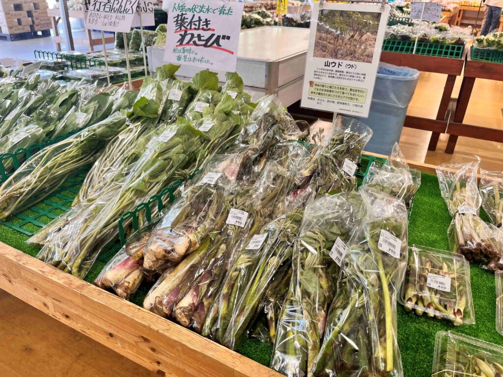 たてしな自由農園　春の野菜