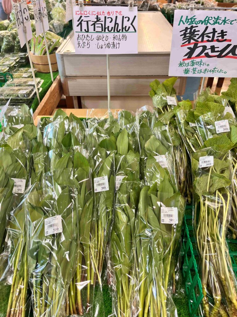 たてしな自由農園　春の野菜
