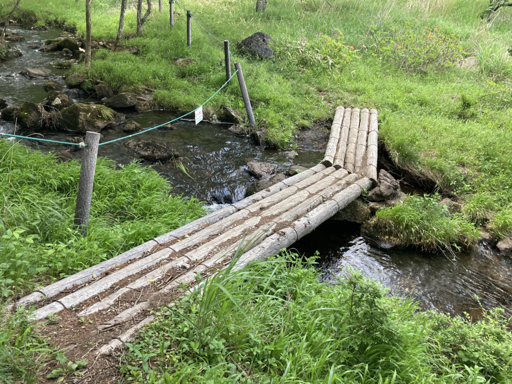 霧ヶ峰　踊場湿原　遊歩道　池のくるみ