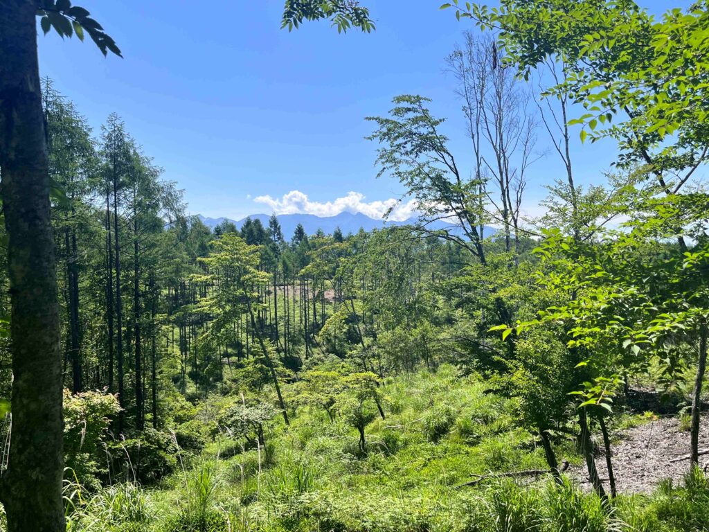 八ヶ岳　別荘　富士山　南アルプスが見える
キャンプ