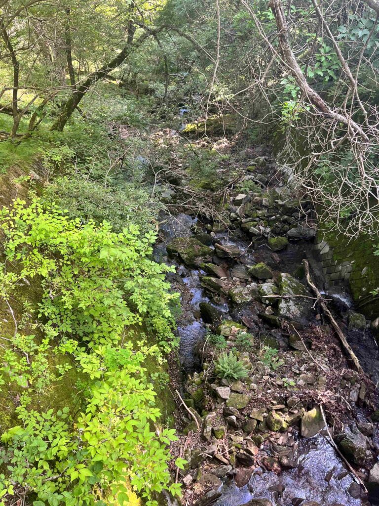 水場　霧ヶ峰　別荘