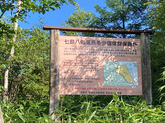 ビバルデの丘　霧ヶ峰　八島湿原　八島ヶ原　長野県　山野草　夏の花　川　避暑地　高原