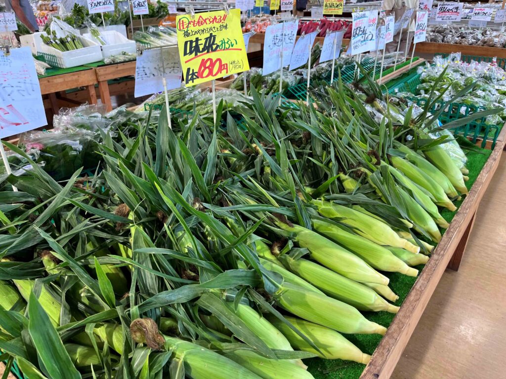 別荘地の買い物
別荘買い出し
物産所
ナガノパープル