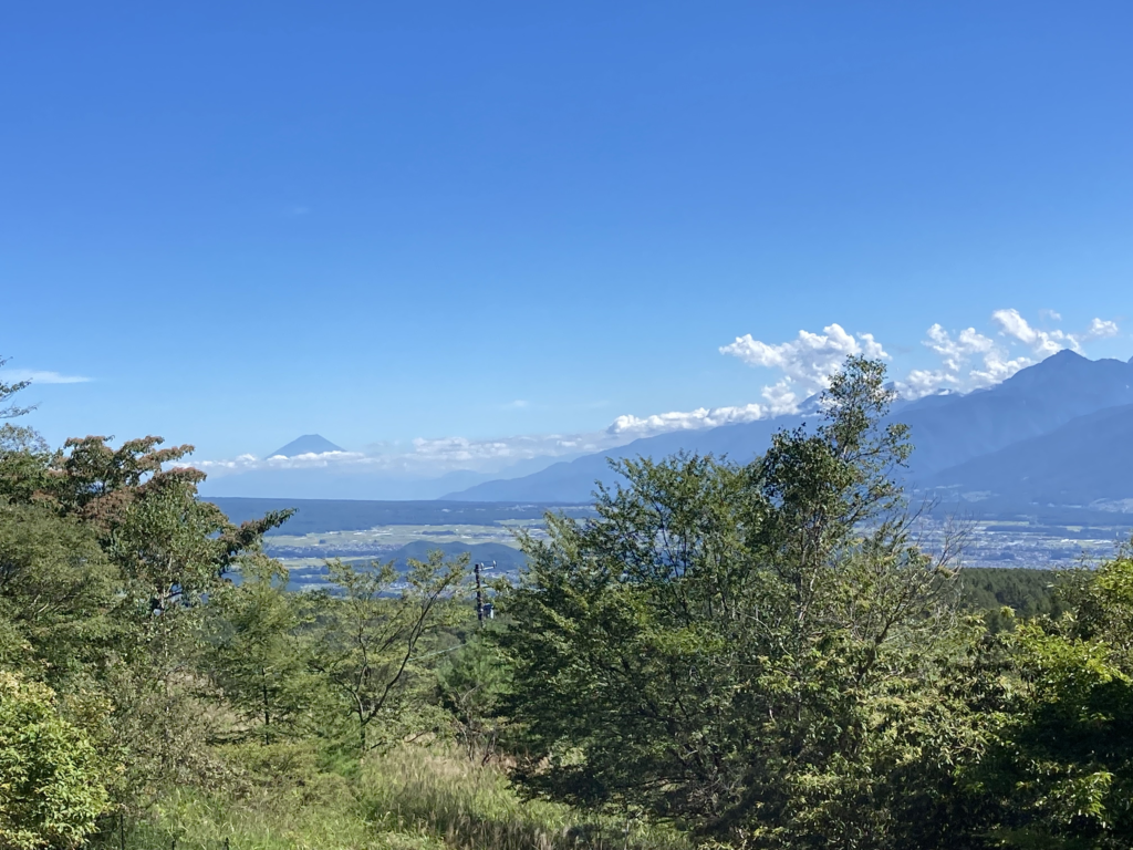 霧ヶ峰　ビバルデの丘　別荘地　長野県諏訪市　富士山　植物
