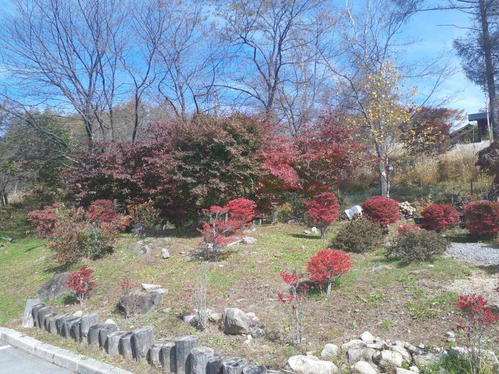 霧ケ峰
別荘地
紅葉