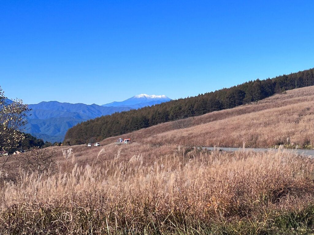 霧ヶ峰　秋
諏訪市　紅葉
別荘地までの道
ゲエロッパラ