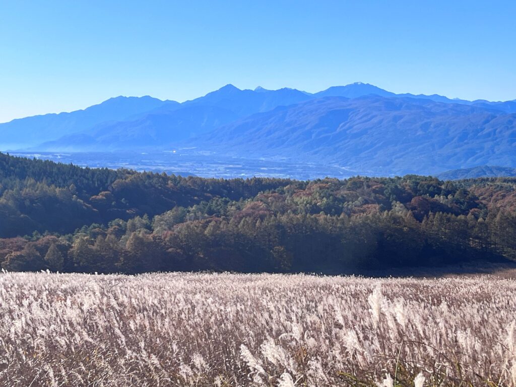 霧ヶ峰　秋
諏訪市　紅葉
別荘地までの道
ゲエロッパラ