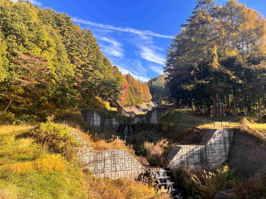 霧ヶ峰　秋
諏訪市　紅葉
別荘地までの道