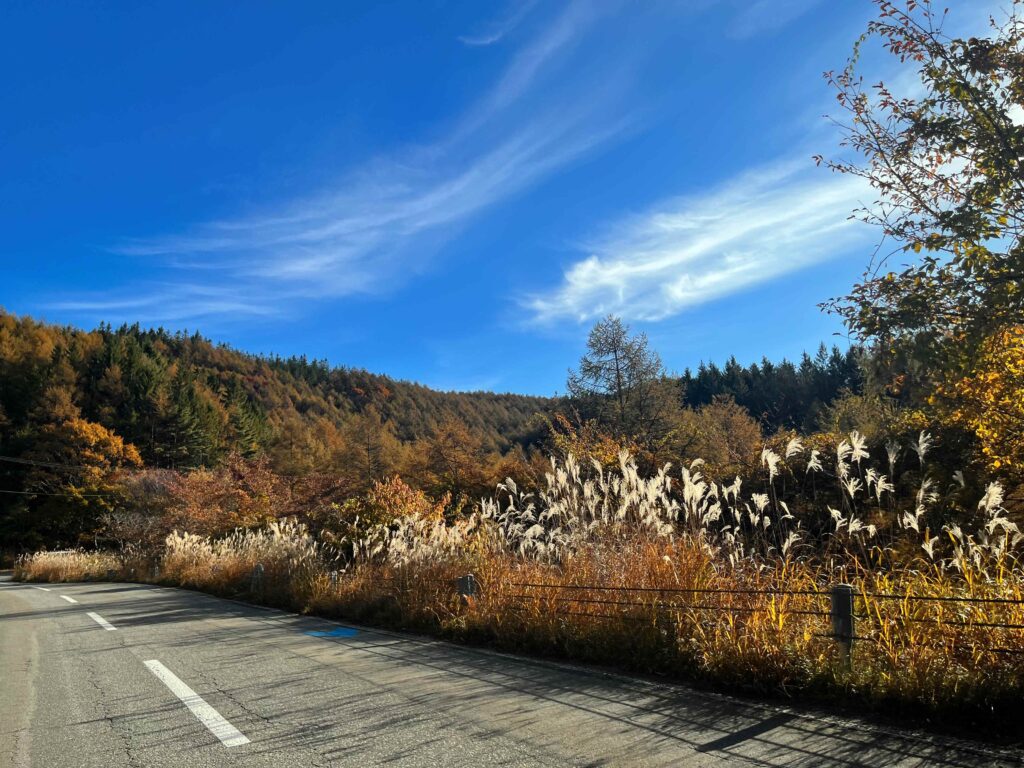 霧ヶ峰　秋
諏訪市　紅葉
別荘地までの道