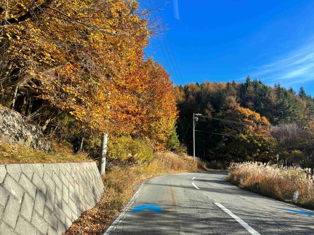 霧ヶ峰　秋
諏訪市　紅葉
別荘地までの道