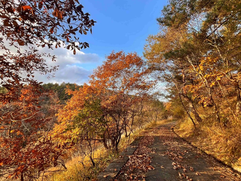 別荘の植栽
諏訪市　遊歩道
霧ヶ峰