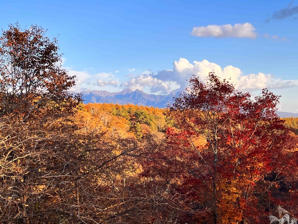 秋の八ヶ岳