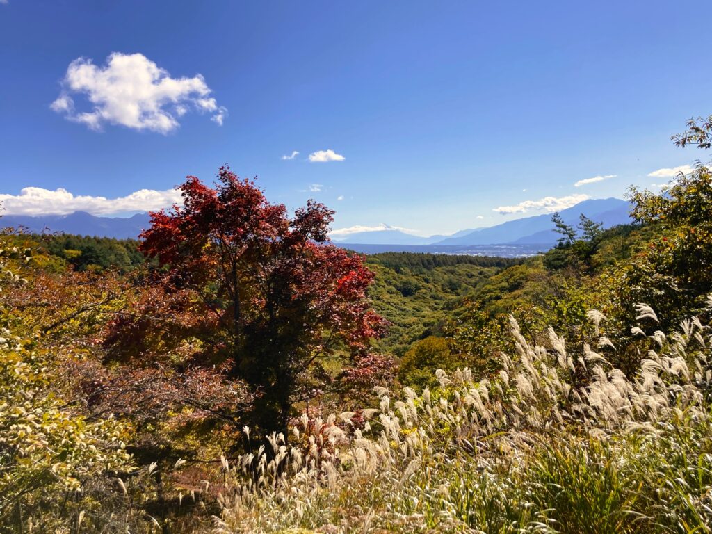 霧ヶ峰　長野県諏訪市　ビバルデの丘　別荘地　秋　紅葉　富士山