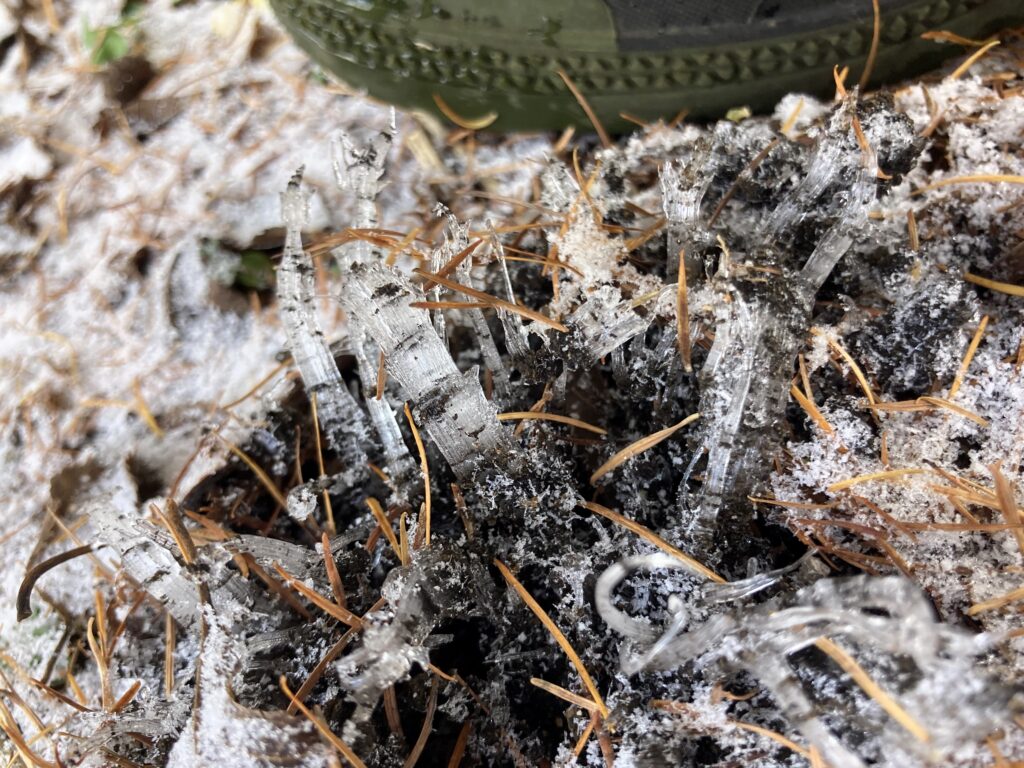 長野県諏訪市　信州　霧ヶ峰高原　別荘地　ビバルデの丘　初雪　積雪　雪化粧　霜柱