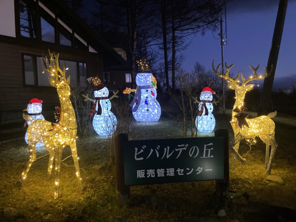 信州　諏訪　霧ヶ峰高原別荘地　ビバルデの丘　長野県　イルミネーション