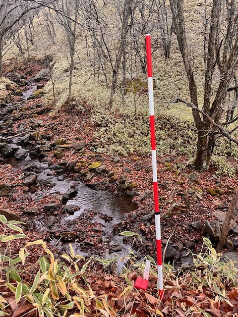 晴天の別荘地
別荘地からの景色
南アルプスが見える別荘地