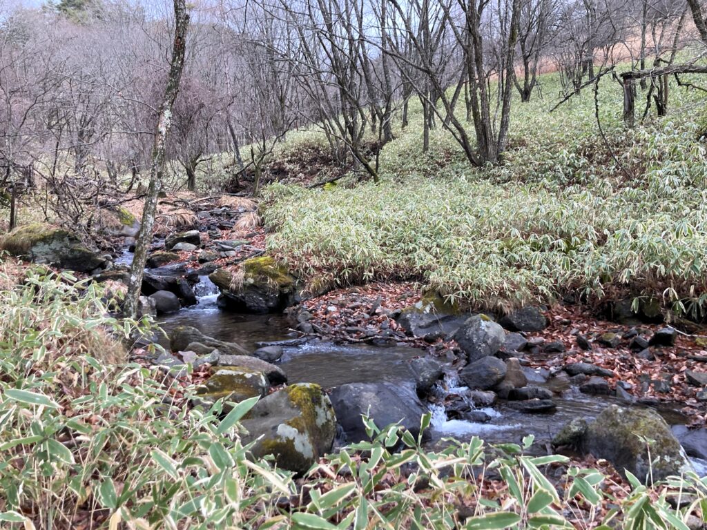 信州　諏訪　霧ヶ峰高原別荘地　ビバルデの丘　別荘　キノコ　きのこ　タマキクラゲ　ゼラチン　ぷるぷる　グミ　冬　山　川