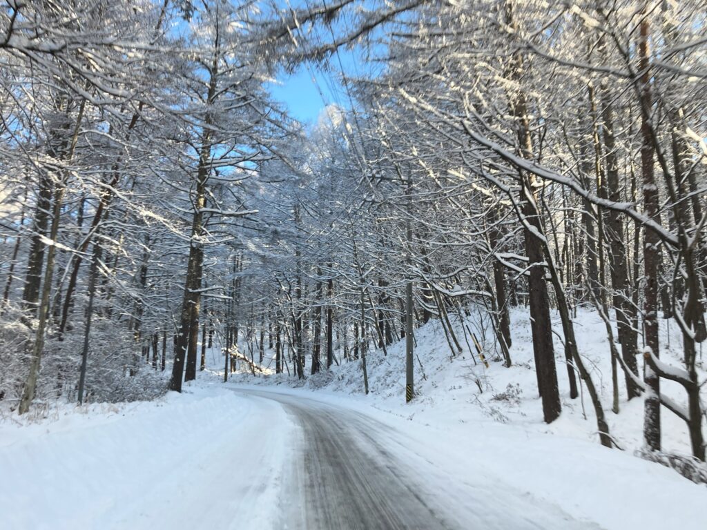 信州　諏訪霧ヶ峰高原別荘地　ビバルデの丘　長野県　雪　雪景色　道路状況　