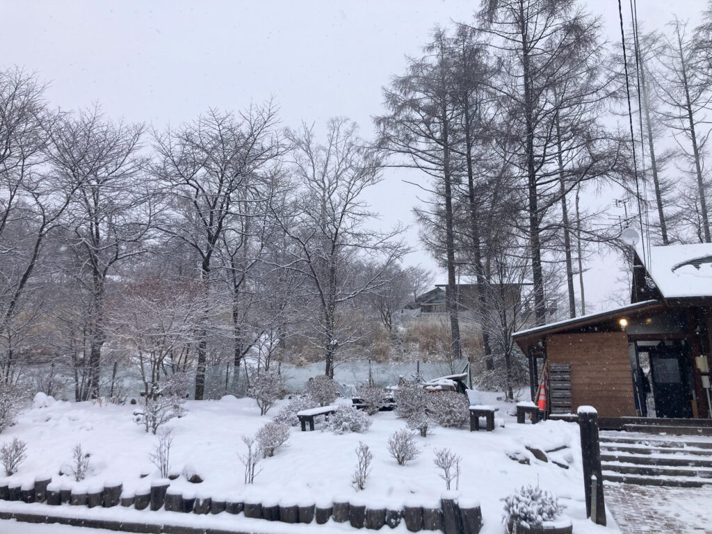 積雪情報　信州諏訪霧ヶ峰高原別荘地　ビバルデの丘　長野県諏訪市　霧ヶ峰　　天気　雪　道路状況