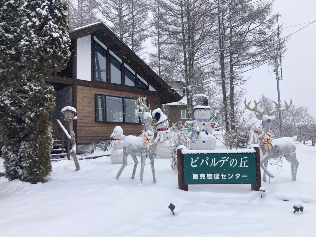 信州諏訪霧ヶ峰高原別荘地　ビバルデの丘　長野県諏訪市　霧ヶ峰　雪　山　積雪情報　道路　道路状況