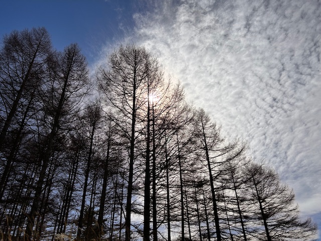 霧ヶ峰　山行記録