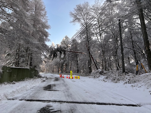 霧ヶ峰積雪情報