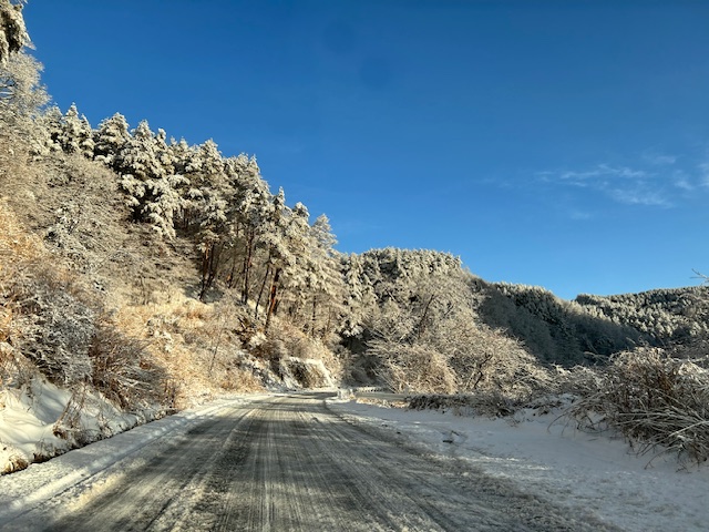 霧ヶ峰積雪情報
