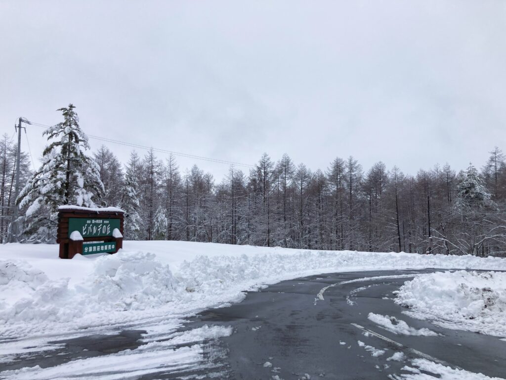 信州諏訪霧ヶ峰高原別荘地　ビバルデの丘　雪　山　長野県諏訪市　天気　積雪　道路　別荘　高原