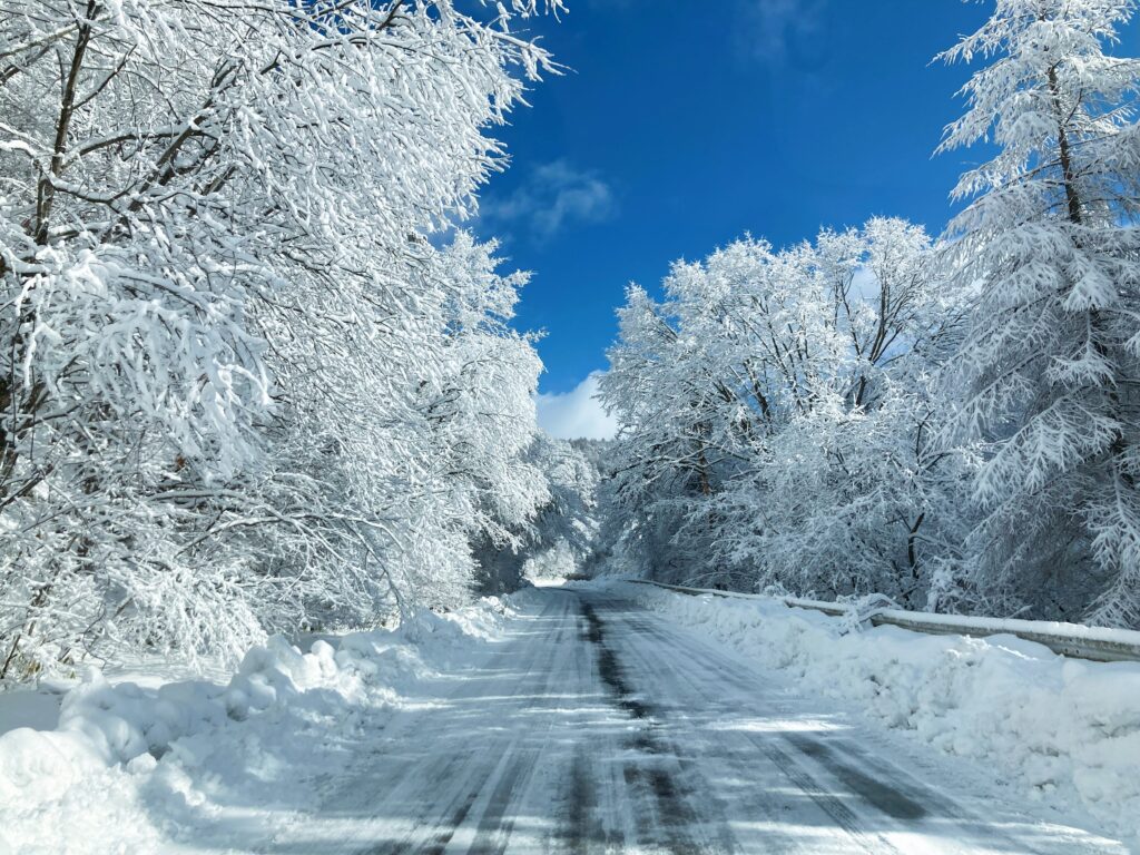 信州諏訪霧ヶ峰高原別荘地　ビバルデの丘　雪　積雪情報　天気　山　長野県諏訪市　レジャー　