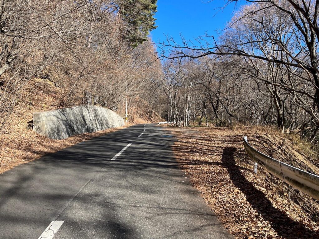 大見山　
蓼の海