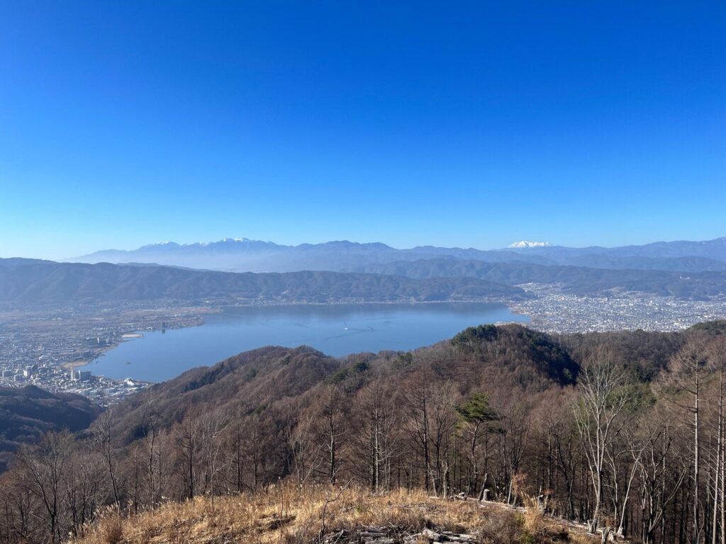 大見山　
蓼の海