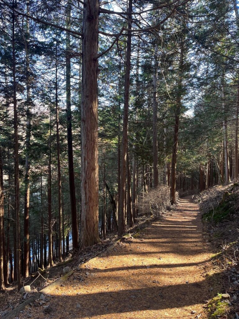 大見山　
蓼の海